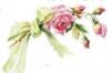 Схема вышивки «Одинокая розовая  роза»