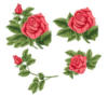 Схема вышивки «Подушка "розы"»