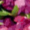 Корзина с цветами шиповника: предпросмотр