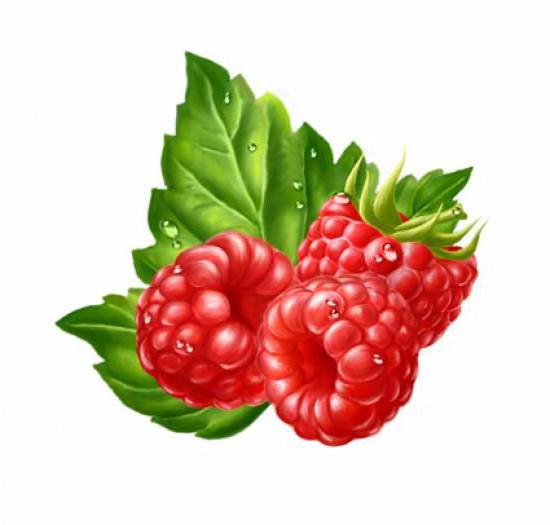 Картинки Ягодки Для Детского Сада