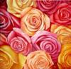 Схема вышивки «Подушка Великолепие роз»