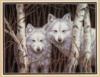 Схема вышивки «Белые волки»