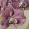 Подушка - орхидея: оригинал