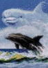 Облачный дельфин: оригинал