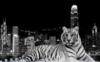 Тигр и ночной город: оригинал