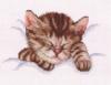 Схема вышивки «Сонный котик»