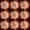 Схема вышивки «Подушка " цветочный ковёр "»