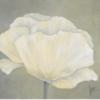 Схема вышивки «Poppy in white I»
