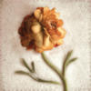 Схема вышивки &laquo;Sand Ranunculus art &raquo;