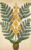 Схема вышивки «Fern with yellow flowers,»