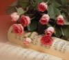 Схема вышивки «Розы с нотами»