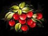 Схема вышивки «Гроздь красных ягод»