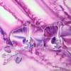 Схема вышивки «Фиолетовая орхидея»