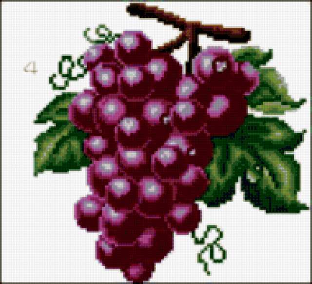 , виноград