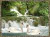 Лебеди у водопада: оригинал