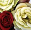 Схема вышивки «Вдыхая розы аромат.....»