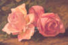 Схема вышивки «Прекрасные розы (фрагмент)»