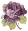 Схема вышивки «Лиловая роза»