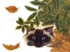 Схема вышивки «Котенок и листья»