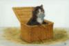 Схема вышивки «Котенок в корзине»