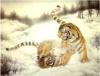 Восточные тигры: оригинал
