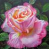 Подушка розовая роза: оригинал