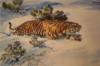 Схема вышивки «В.Бастрыкин "Тигр на снегу"»