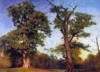 Albert Bierstadt | 1830-1902 гг: оригинал