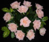Схема вышивки «Букет розовых роз»