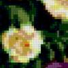 Тюльпаны акварель: предпросмотр