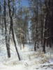 Схема вышивки «Зима в лесу. Иней.»