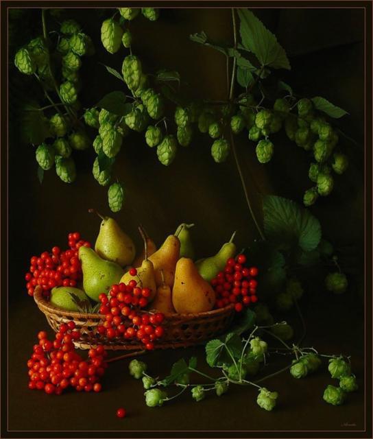 Натюрморт с хмелем и фруктами, картина, натюрморт, флора, цветы, фрукты, плоды, ягоды, букет, ваза, корзина, лукошко, груши, калина, хмель