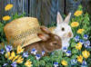 Схема вышивки «Кролики в саду»