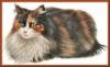 Схема вышивки «Серия кошки»