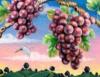 Схема вышивки «Пейзаж с виноградом»