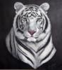 Белый тигр 3: оригинал