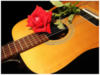 Натюрморт роза на гитаре: оригинал