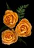 Схема вышивки «Peach Roses»