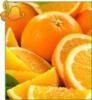 Схема вышивки «Апельсиновое настроение»