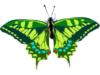Схема вышивки «Зеленая бабочка»