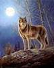 Волк и луна: оригинал