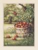 Схема вышивки «Яблоневый сад»