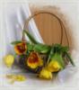 Схема вышивки «Тюльпаны в корзине»