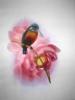 Схема вышивки «Птичка на цветке»