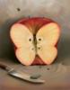 Схема вышивки «Бабочка-яблоко»