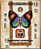 Бабочка и иероглифы 2: оригинал