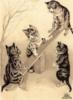 Схема вышивки «Играющие котята»