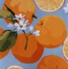 Подушка "Апельсины": оригинал