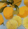 Схема вышивки «Подушка "Лимоны"»