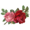 Схема вышивки «Подушка - две розы»